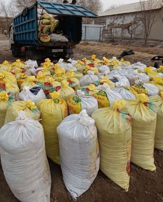 Biogumus tabiiy o'g'it