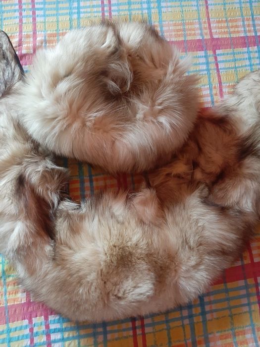 Vând caciula și guler blana