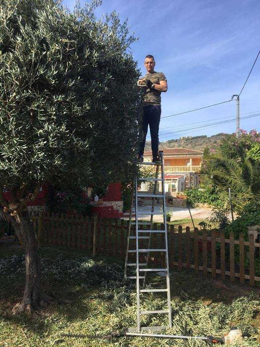 Amenajare grădini,toaletare pomi,scarificare-insamantare gazon!