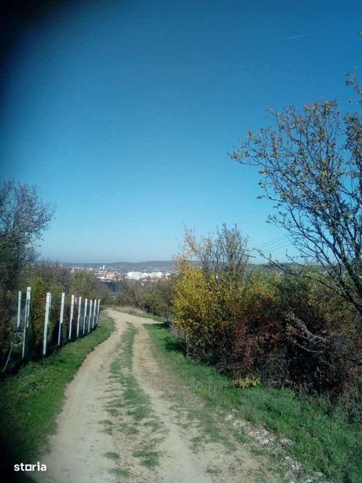Teren intravilan, 42 ari, Str. 22 Dec.