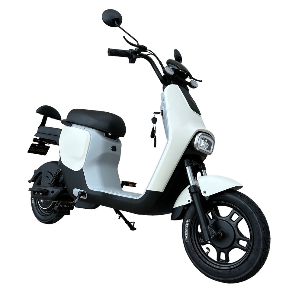 Scuter/ Scooter Electric 500W 20Ah Nou cu garantie