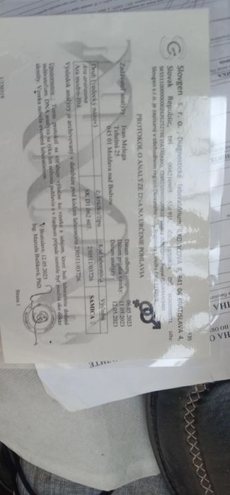 Продавам двойка Ара (мъжки и женски)