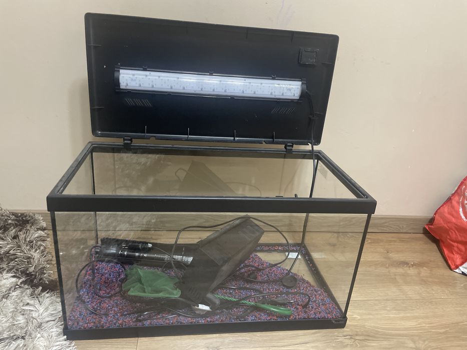 Vand acvariu pesti Negociabil