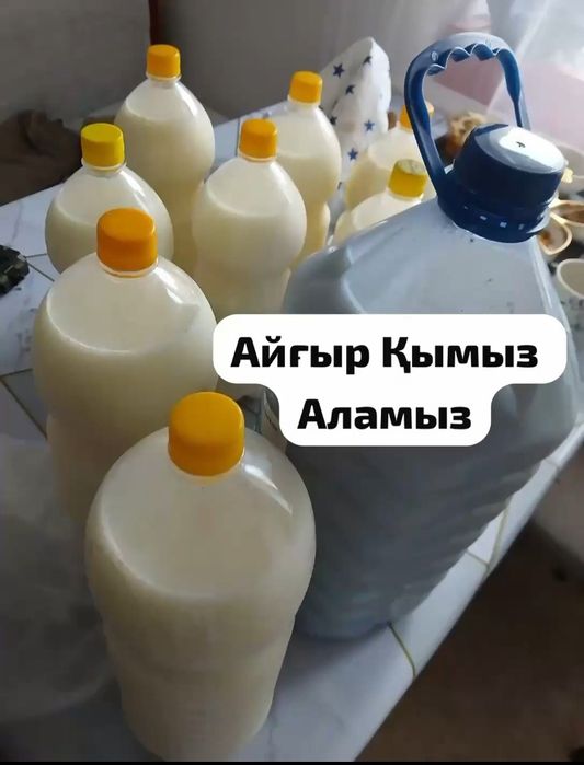 Продам Кымыз сатылады