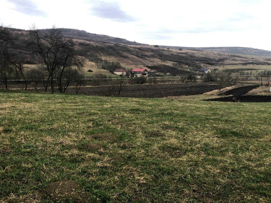 De Vânzare Teren Intravilan – 6.600 mp – Bădești, Jud. Cluj