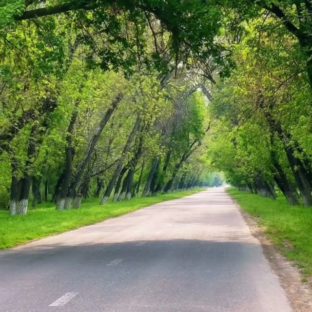 Srochna 3 sotix joy sotiladi futsitiyga 20 km