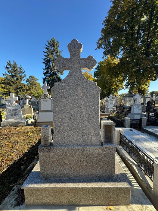 Loc de veci Viisoara