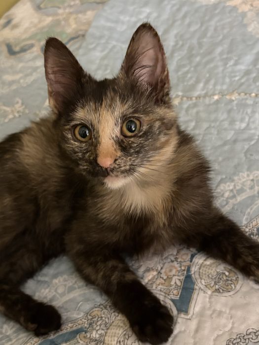 Только ответственным