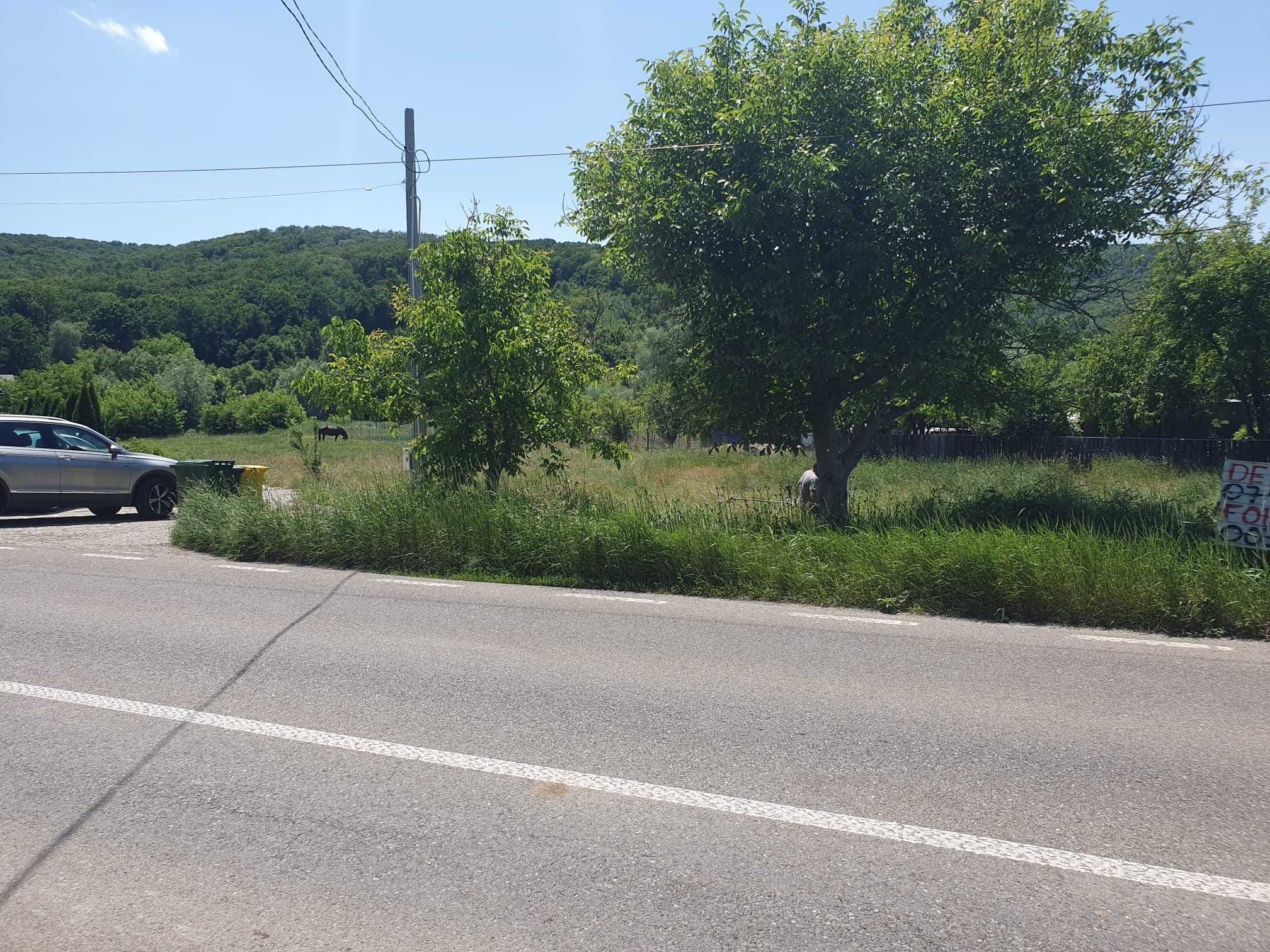 Teren Luncani, jud. Bacau, intravilan, 2286 mp, toate utilitatile