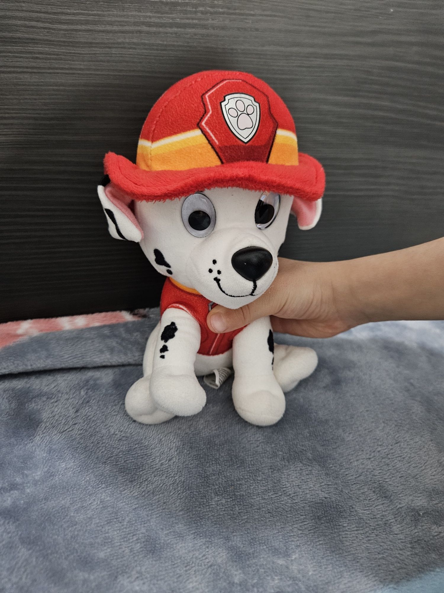 Patrula Catelusilor/Paw Patrol