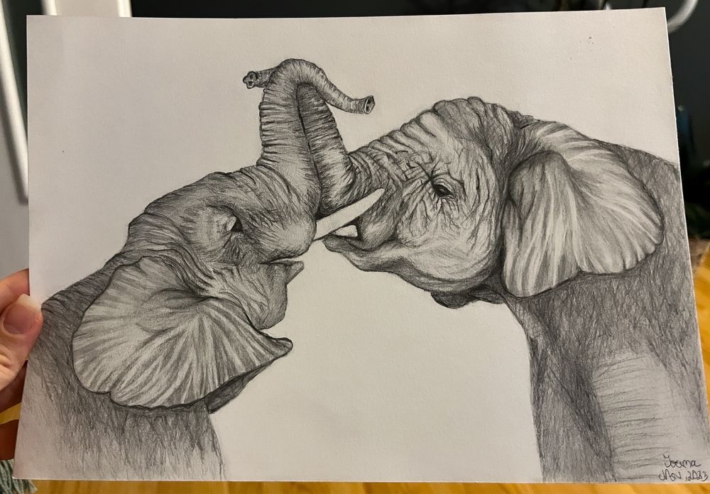 Desene/tablouri la comanda
