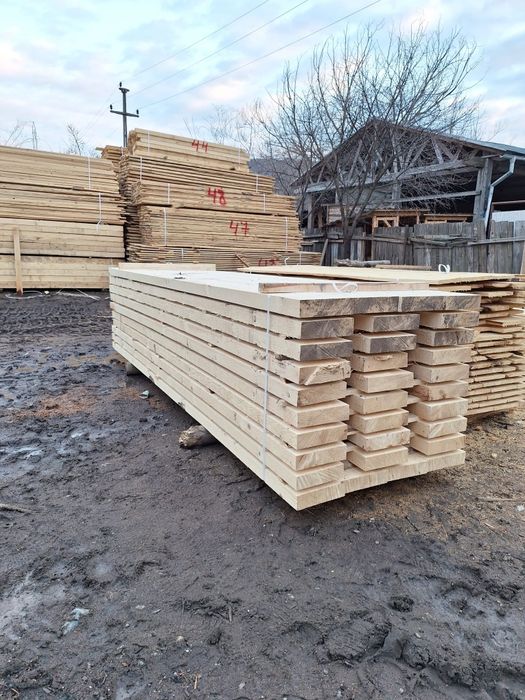 Cherestea fag și brad