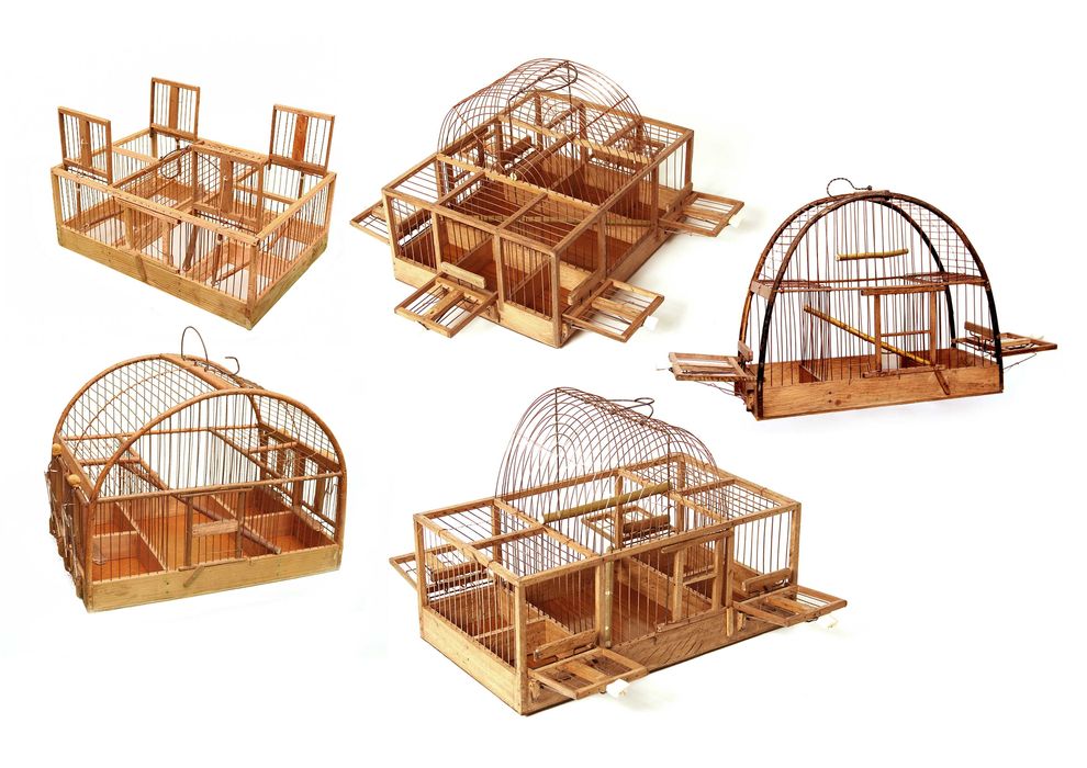 Продам клетки-ловушки Алматы