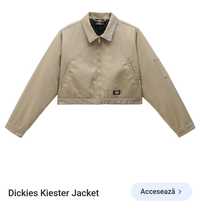 Jacheta dama Dickies S