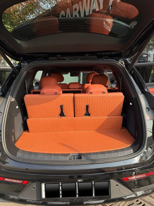 9D polik / коврики для BYD Tang L