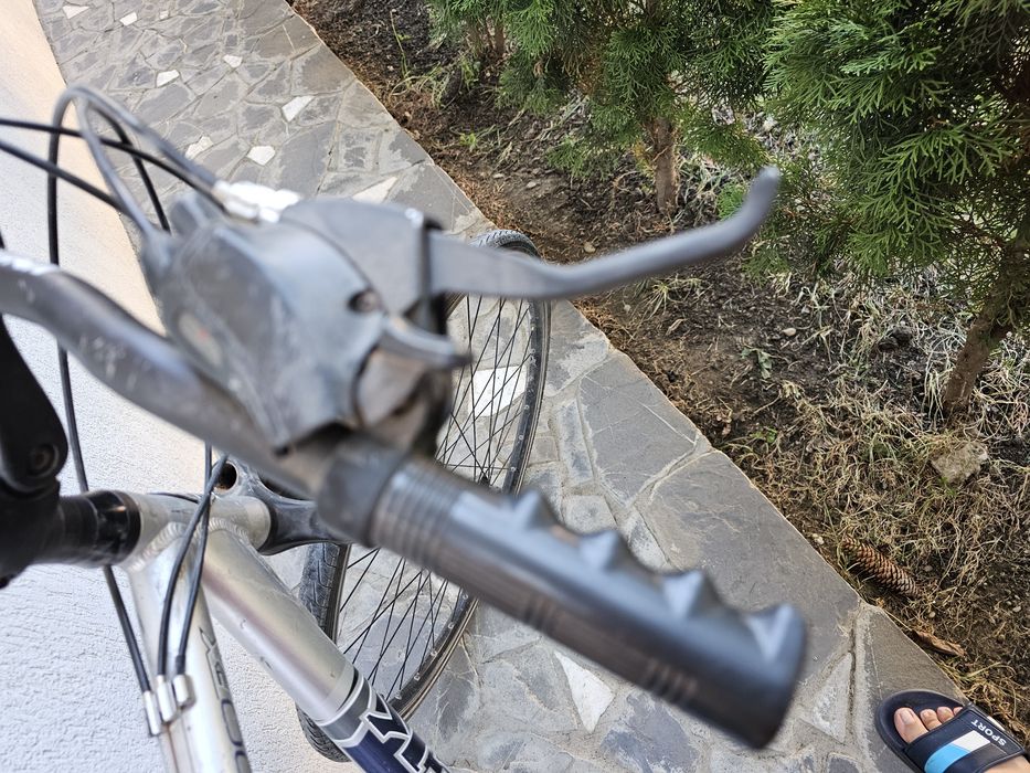 Cursiera TREK FX 7100