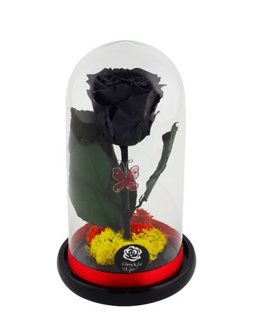 Livrare gratuita azi in Bucuresti trandafir criogenat negru