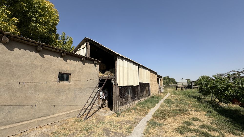 Продается дом шымкент