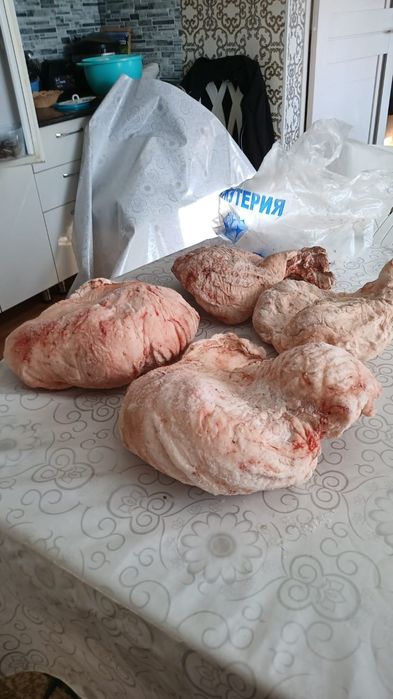 Продам курдюк құйрық май