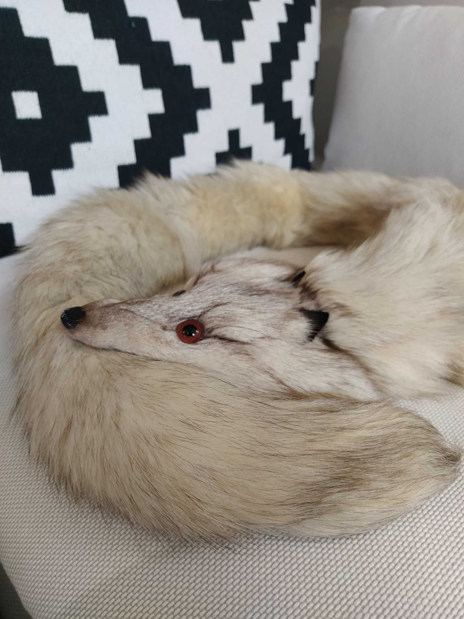 Бяла сребърна лисица