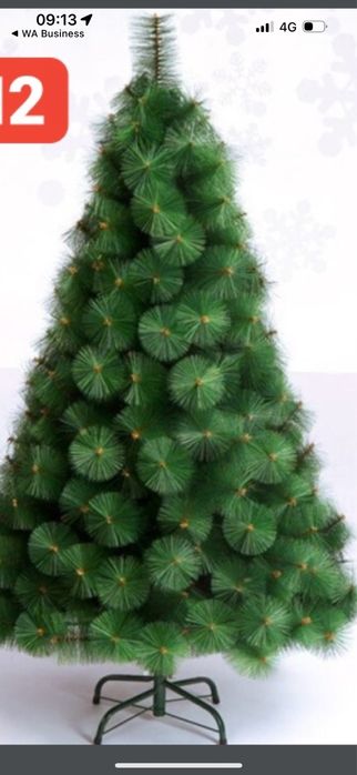 6000 тг елка шырша 1,6 м