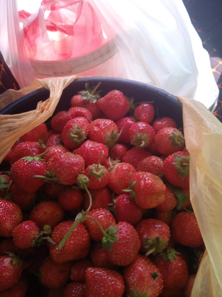Продам клубнику домашнюю