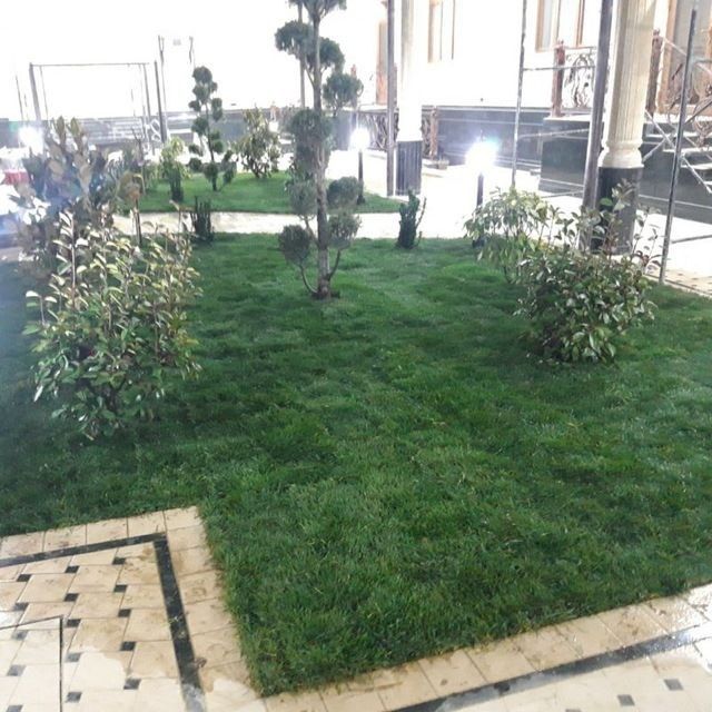 Gazon ekish va avto palif