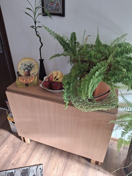 Masă pliabilă maro