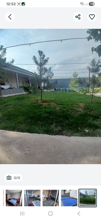 Qibrayda dacha sotiladi