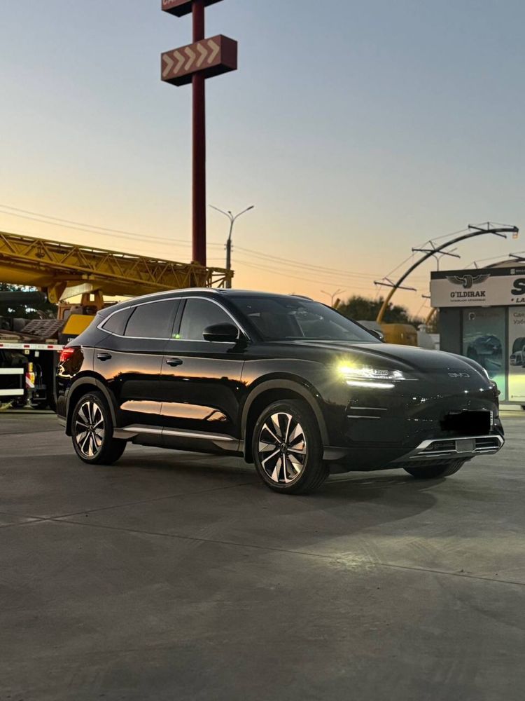 byd champion restyling