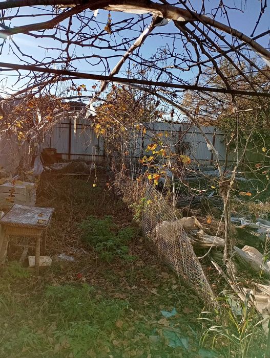 Se vinde solar pentru legume sau flori. 175 /arcada