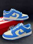 Nike Dunk Low "Blue"