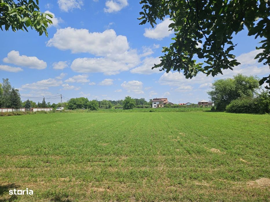 OFERTA!  Teren intravilan 1000mp Str. Mircesti Bolintin Deal