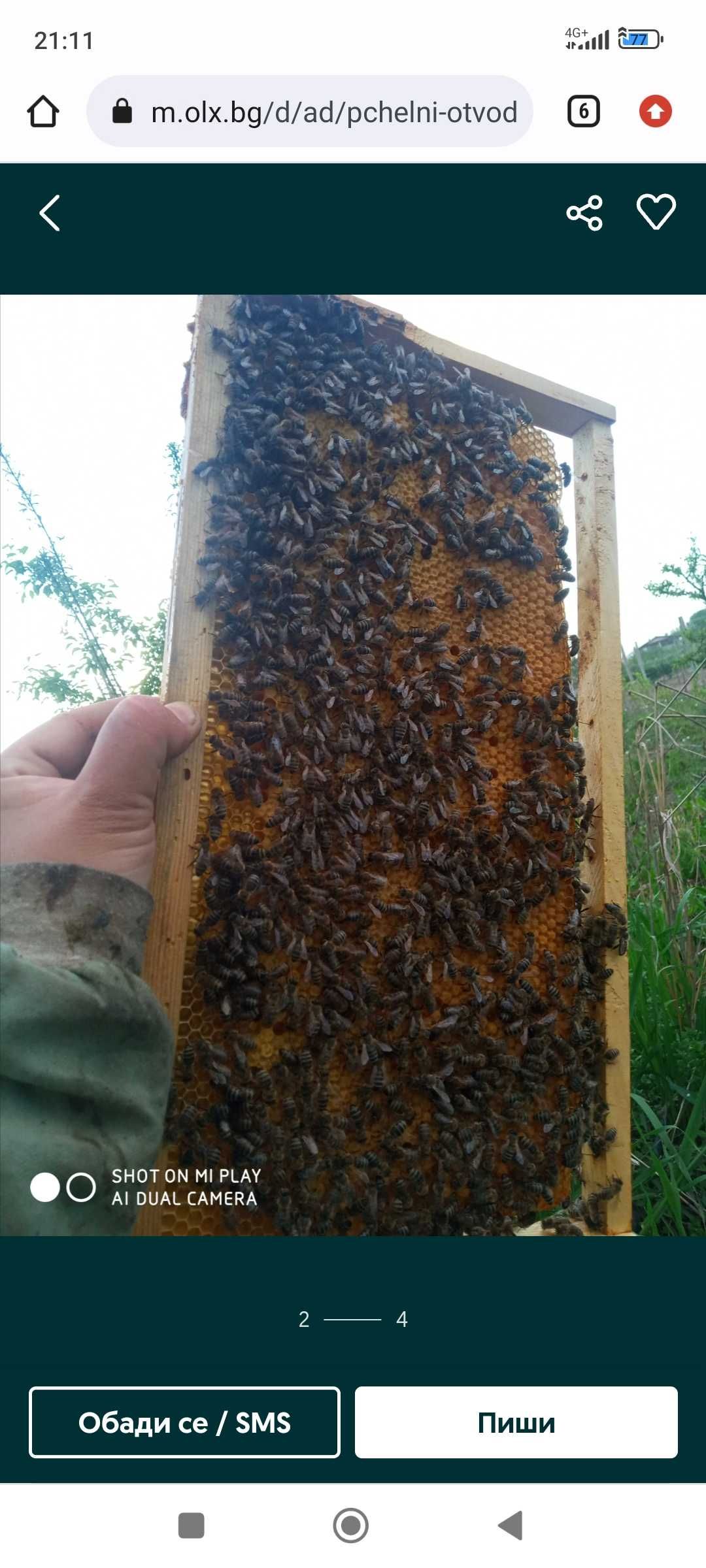 Пчелни отводки 2024