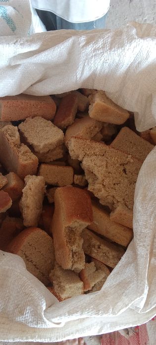 Беда поя, курутилган нон.