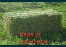 Bede preslar sotiladi