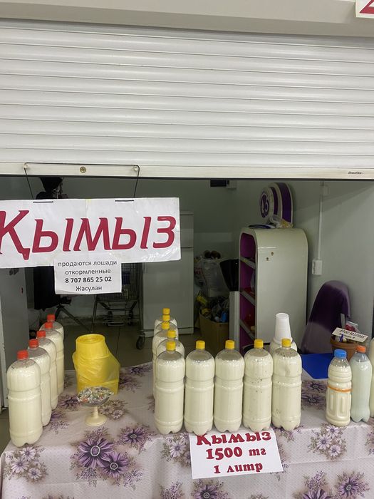 Продаю Кымыз