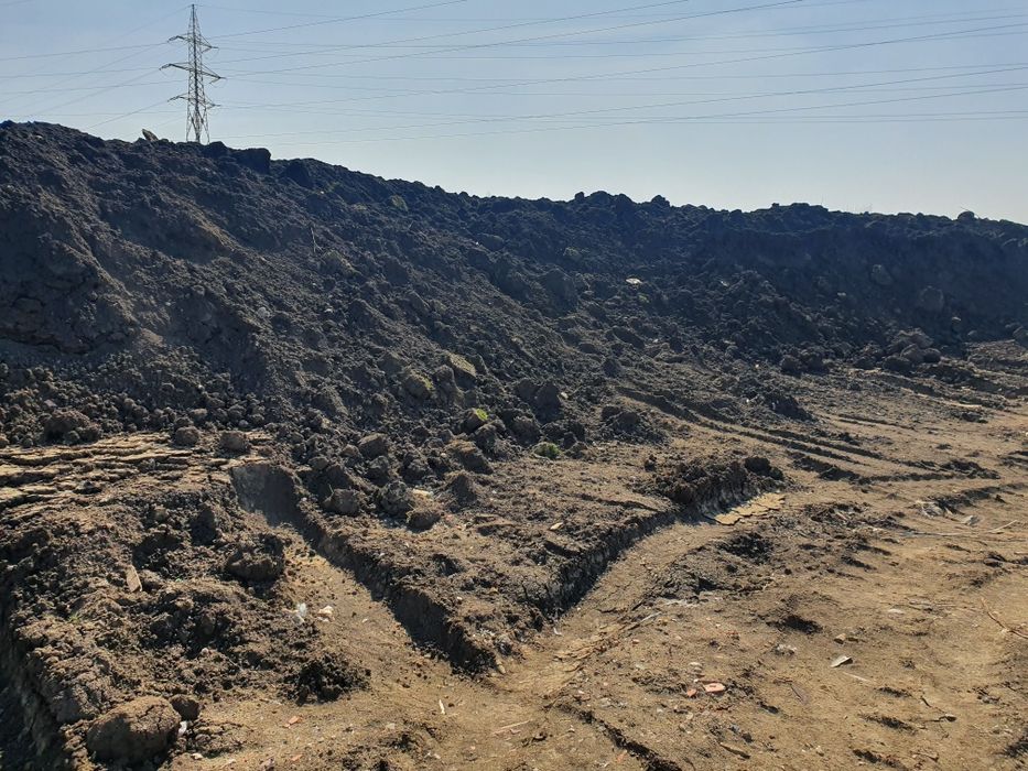 Vand PAPAMANT vegetal Negru, Nisipos pt gazon, Umplutura si Mranita