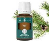 Ulei esential Pine - Pin Young Living 15 ml