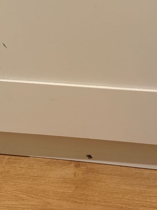 Ikea / PAX , гардероб Икеа