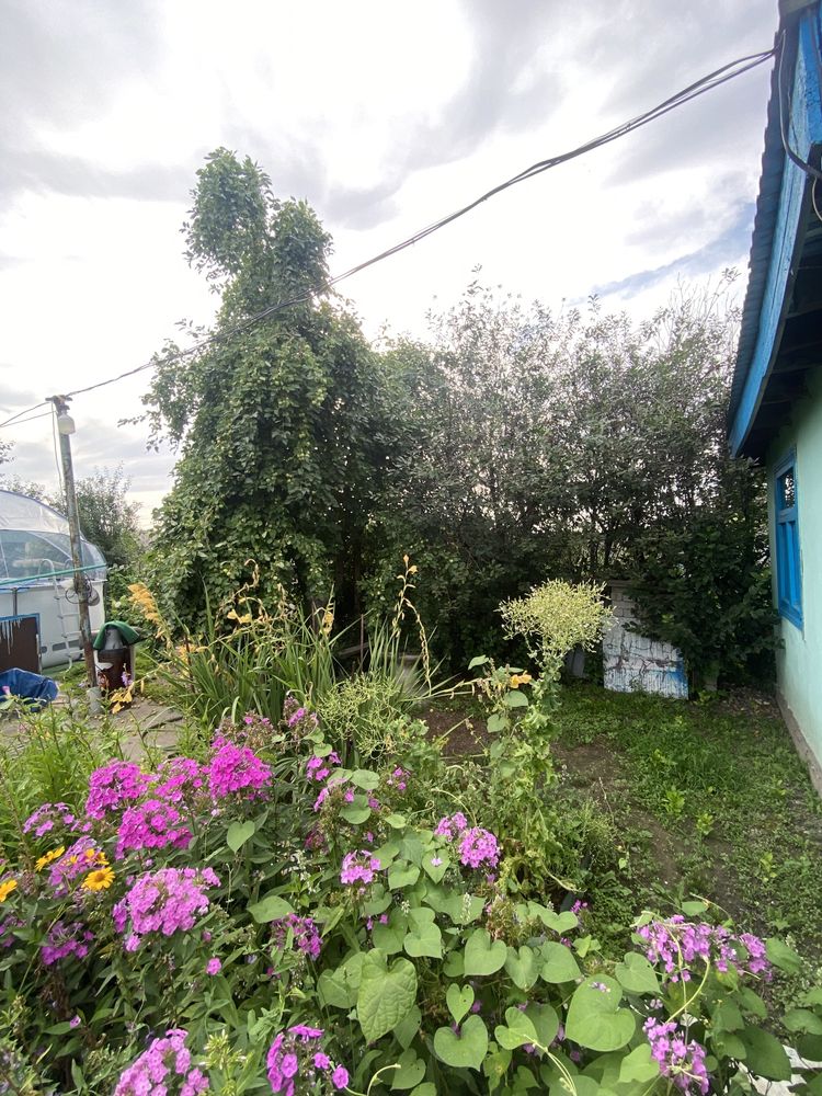 Продам дачу со всеми удобствами