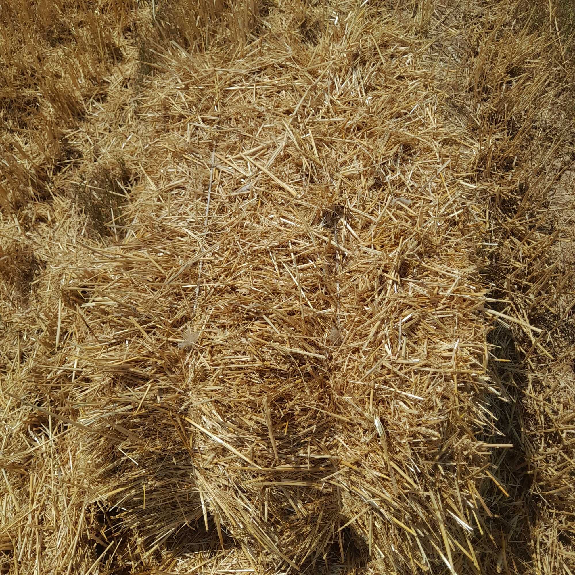 Продавам ичемичена и пшеничена слама
