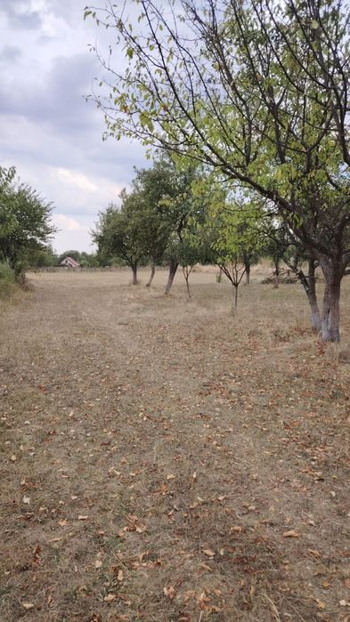 Teren intravilan de vânzare Polovragi