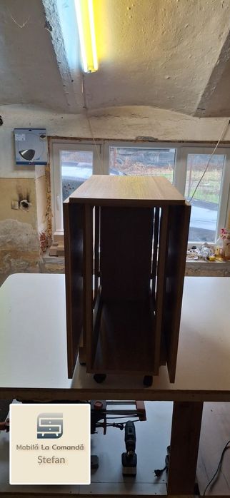 Masa plianta extensibila