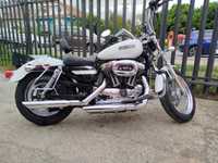 Harley Davidson Sportster 1200 Low 2006