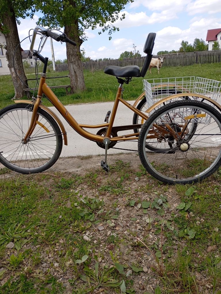 Bicicleta cu 3 roți