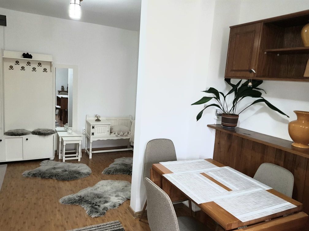 APARTAMENT CENTRAL regim hotelier Târgu Jiu