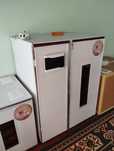 Incubator sotiladi