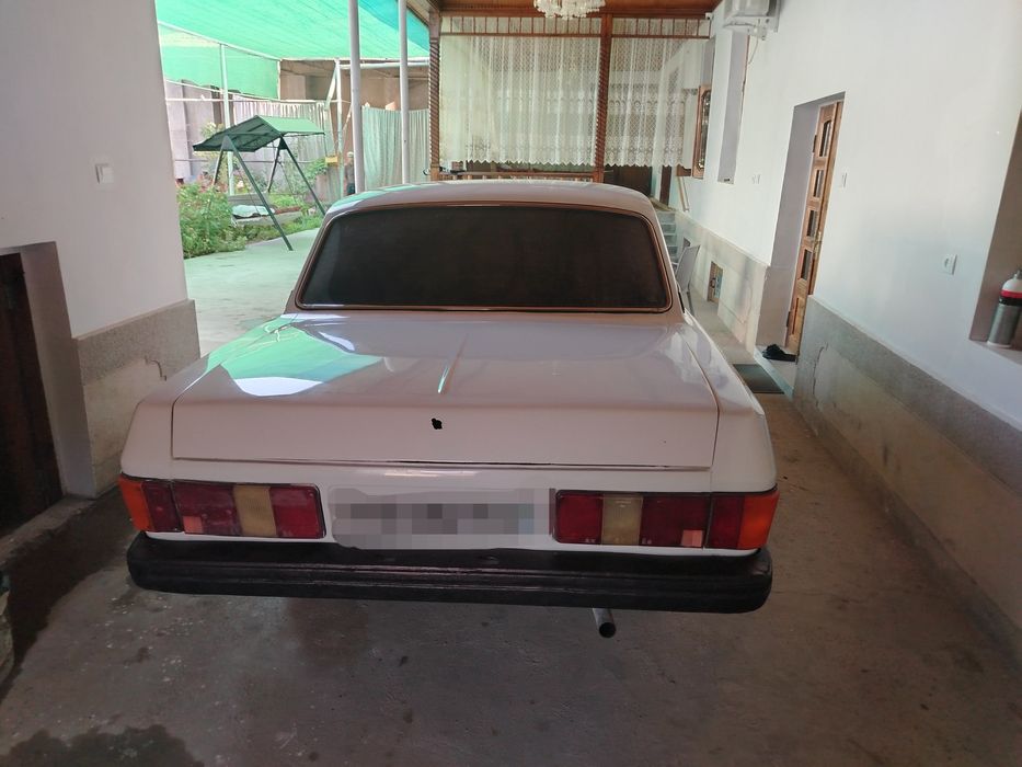 Volga Gaz 31029 oq