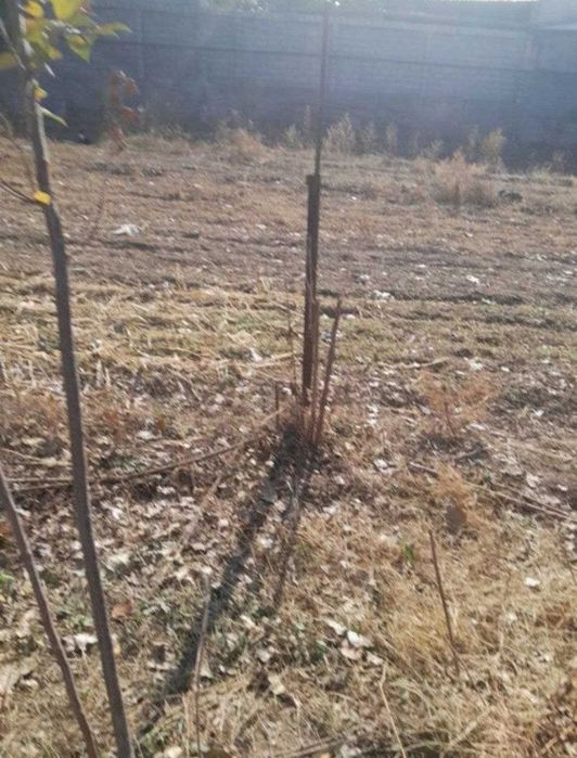 Йер сотилади рохат круг тарафда